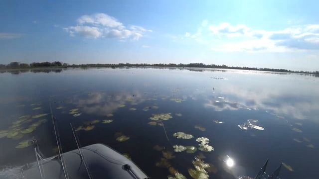 Ловля щуки на Swimbait. #Jerkbait #pike #Fish #volgaspintv