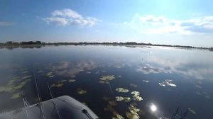 Ловля щуки на Swimbait. #Jerkbait #pike #Fish #volgaspintv