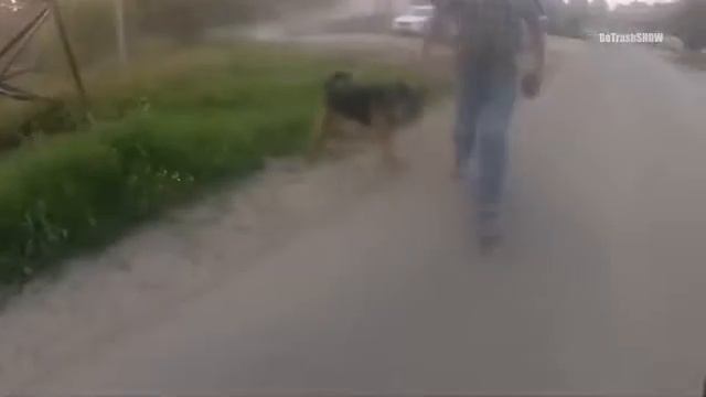 Когда твой хозяин глупый смотреть онлайн