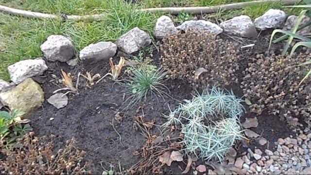 Какую мы увидели дачу в январе. Приехали,посмотрели и уехали. смотреть онлайн