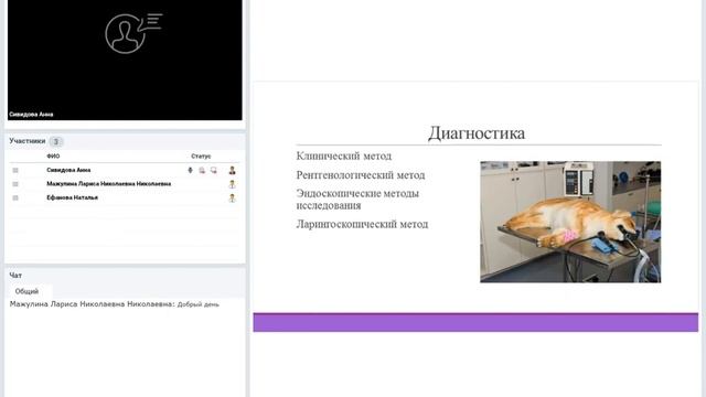 Инородные тела в дыхательных путях и ЖКТ у животных.