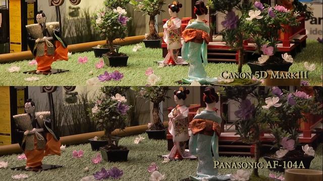 Panasonic AG-AF104A vs Canon 5D MarkIII_3 смотреть онлайн