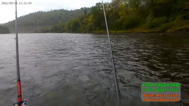 Рыбалка на горной реке Анюй ------------Анюй #2 смотреть онлайн