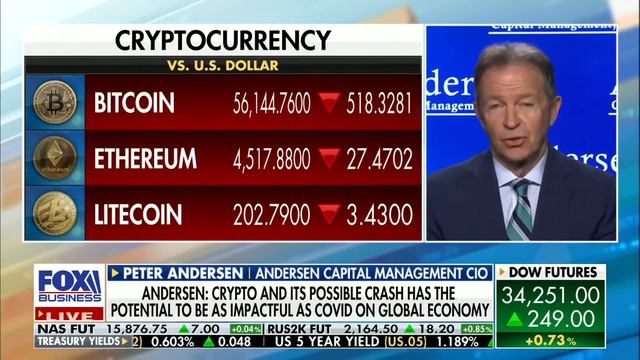 Peter Andersen 12 02 21 FBN Beware Crypto смотреть онлайн