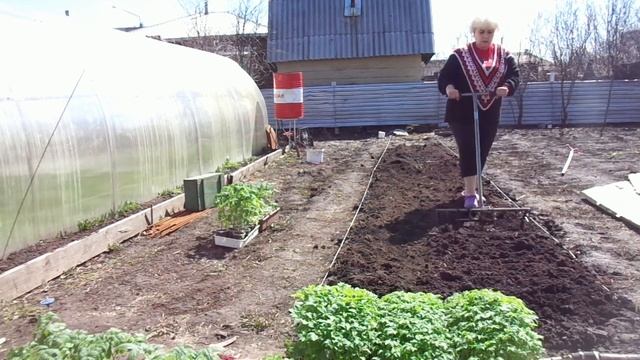 КАК ВЫРАСТИТЬ РАССАДУ НА ПРОДАЖУ? Часть 3 - подготовка грядки. Ольга Чернова. смотреть онлайн