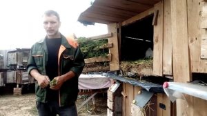 СБЫТ КРОЛИКОВ!! А куда?/КРОЛИКОВОДСТВО как БИЗНЕС