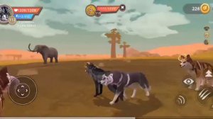 Приколы Вайлд Крафт