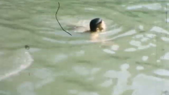 Russian River, circa 1951 смотреть онлайн