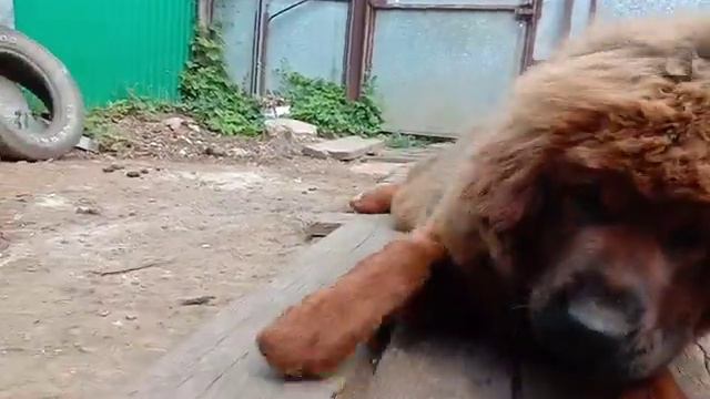 video 20190711 130032 смотреть онлайн
