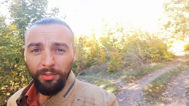 Врата дачного царства. смотреть онлайн