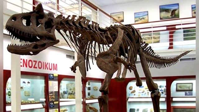 5 САМЫХ СТРАННЫХ ДИНОЗАВРОВ смотреть онлайн