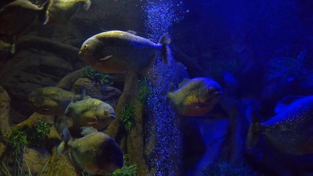 Teneriffa / Tenerifes Highlights And Best Places Around Puerto De La Cruz