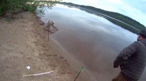 Охота за САБЛЯМИ. чехонь . Рыбалка на реке КАМА