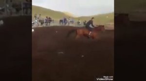 Казахи объезжают лошадей!!! Клип мен казакпын!!!