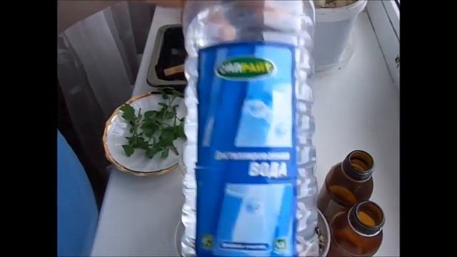 Черенкование хризантем. Февраль смотреть онлайн