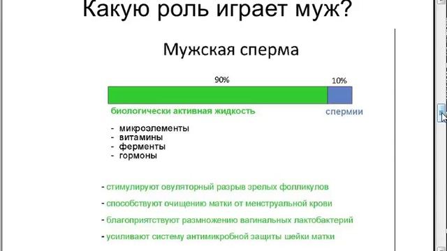 вводный урок СТМРП смотреть онлайн