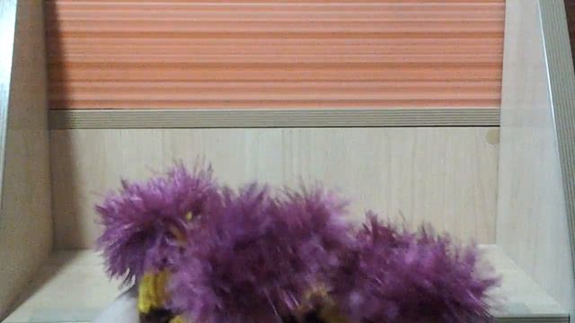 Одежда моей собаки смотреть онлайн