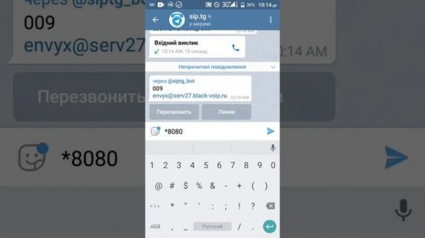 Обзор black-wolf.tech , BLACK WOLF