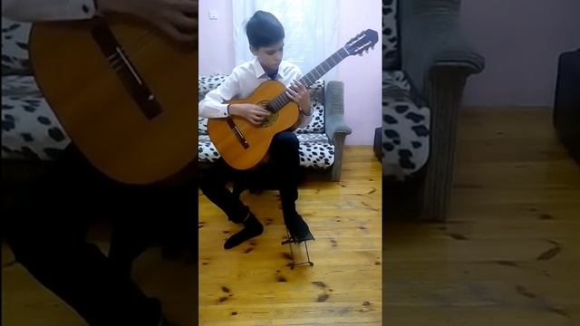О.КОпенков "Лунный свет" виконує Шашкин Віктор смотреть онлайн