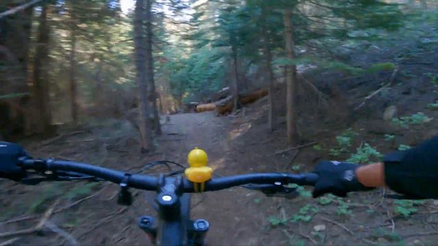 Lumber Jack Trail At Bass Lake смотреть онлайн