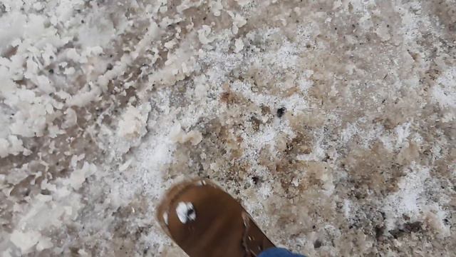 Абсолютная безнаказанность: куча реагентов на ООПТ смотреть онлайн