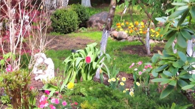 Монастырские голуби и цветы. (Moscow Monastery Pigeons) смотреть онлайн