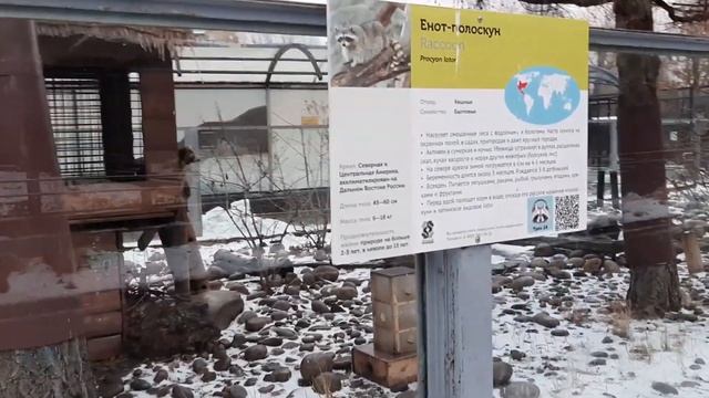 Удивляют животные Московского Зоопарка (часть 2) смотреть онлайн