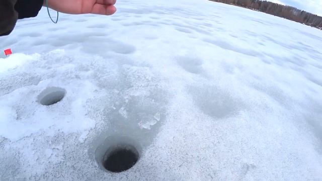 Мой последний лед на Можайском водохранилище! Плотва, подлещик, густера. смотреть онлайн