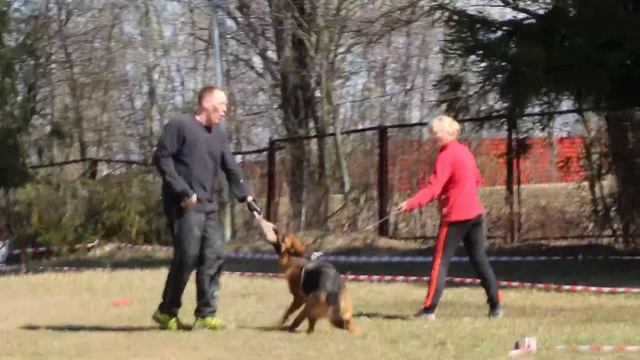 Янита из Дома Инфанты обучение смотреть онлайн