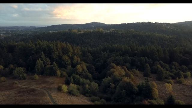 Мудрости жизни.Ты смотреть онлайн