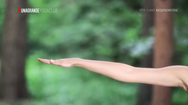 Кардиокомплекс 15 минут — Йога для начинающих смотреть онлайн