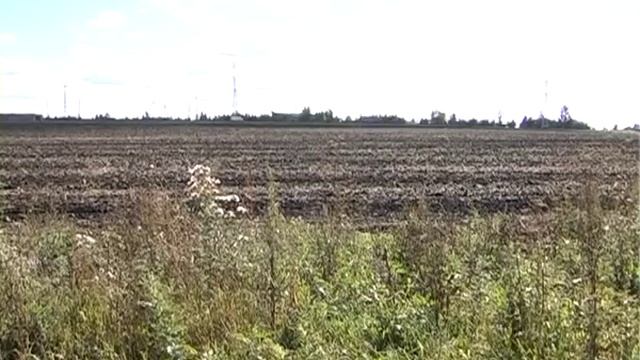 Кладбище Дорохово смотреть онлайн