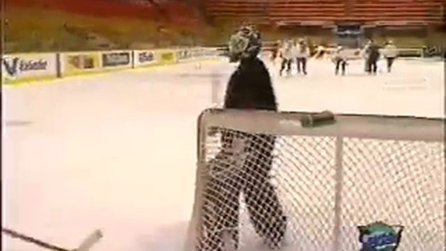 Benoit Hogue & Mats Sundin, Toronto Maple Leafs смотреть онлайн