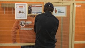 ДОМ-2 Lite 4307 день Дневной эфир (24.02.2016)