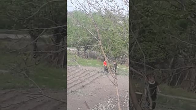 Женщины любят по жестче смотреть онлайн
