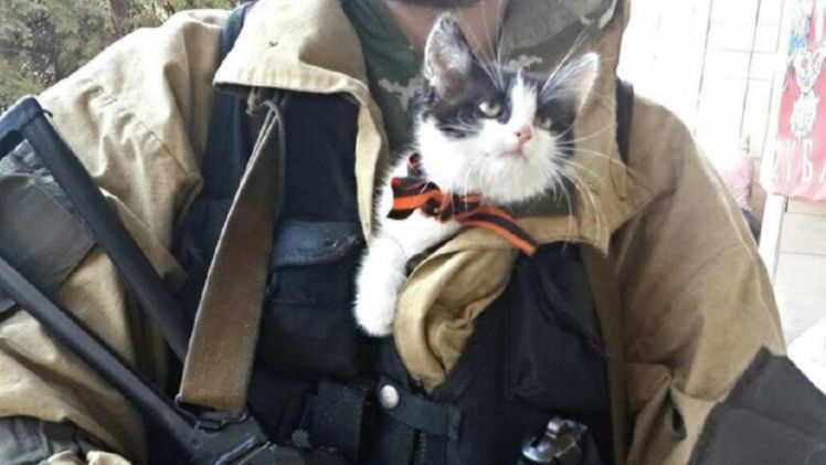 ПРОСТИТ ЛИ ОДЕССА, ПРОСТИТ ЛИ ДОНБАСС...?.mp4 смотреть онлайн