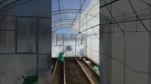 Обустройство теплицы. Крепления для подвязки томатов.