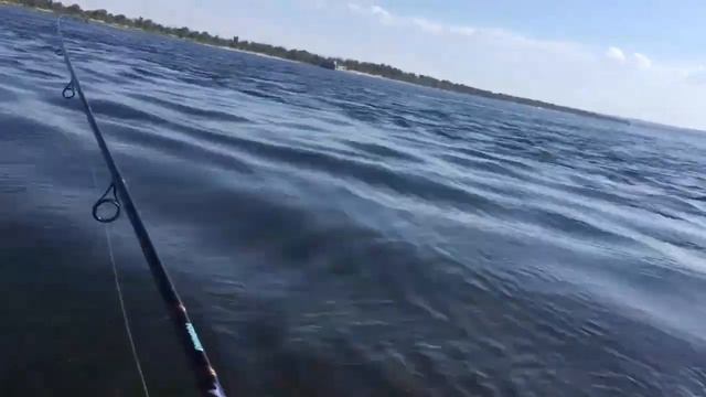 Рыбалка в окрестностях Волгограда смотреть онлайн