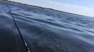Рыбалка в окрестностях Волгограда