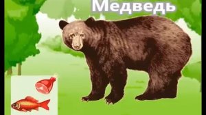 Что кушают животные? -   лучший развивающий мультик для самых маленьких детей о животных