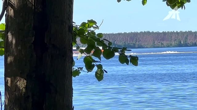 Волшебные свойства золы смотреть онлайн