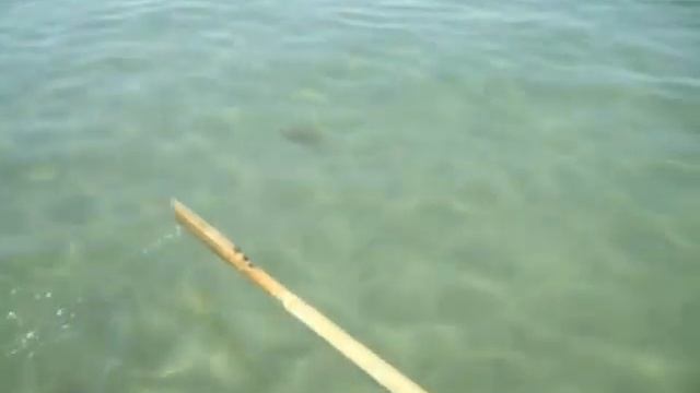 Mondragone Dragon Beach 1 смотреть онлайн