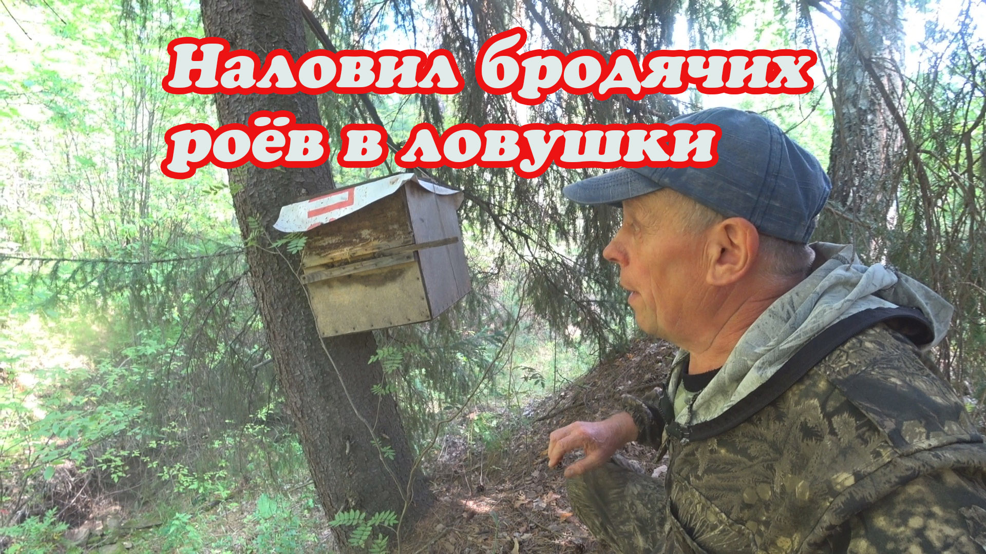 НАЛОВИЛ БРОДЯЧИХ РОЁВ, ПЕРЕСАДКА 13 РОЯ ИЗ ЛОВУШКИ В УЛЕЙ. смотреть онлайн