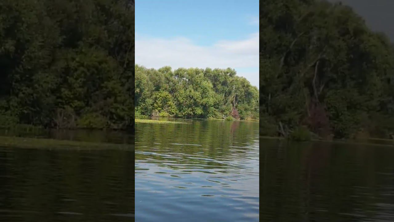 тусим у белоомута))) смотреть онлайн