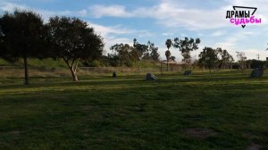 Жена ушла к другому, ПРОМЕНЯЛА меня и ДОЧЬ! ВЕРНУЛАСЬ ПОБИТАЯ ЖИЗНЬЮ! | Драмы Судьбы