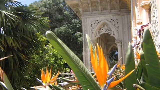 Португалия Синтра Часть 3 Сады Palácio de Monserrate смотреть онлайн