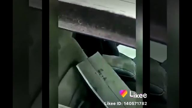 Старый кабан смотреть онлайн