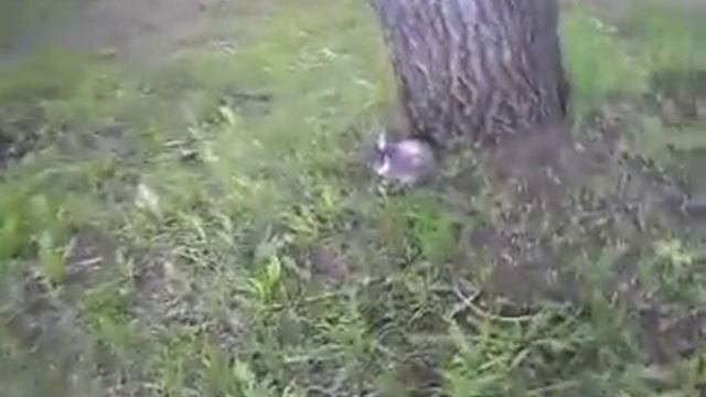 Юля и Кролик) смотреть онлайн