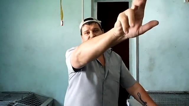 система охлаждения крольчатника, испарительный охладитель. смотреть онлайн