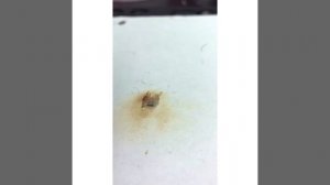 iPhone 5s замена контроллера питания (замена U2)